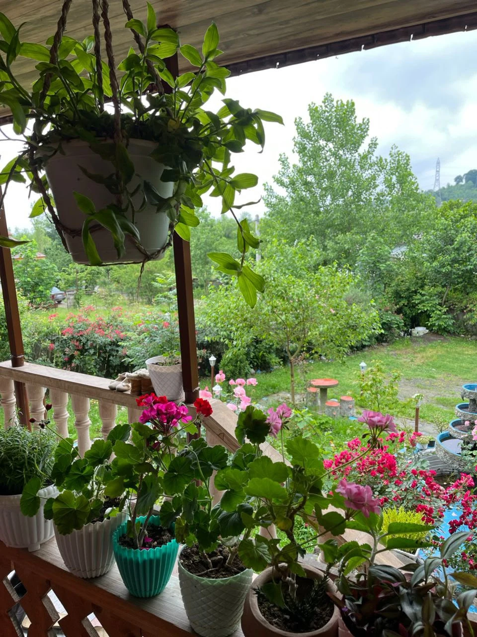 DYwW1RlLkrTfUwiyHKXwNdNWFyBkJ6KkQhUl1hDv.webp