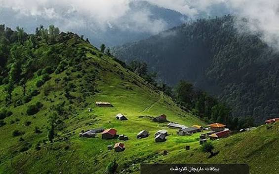 تور یک روزه جنگل مازیچال