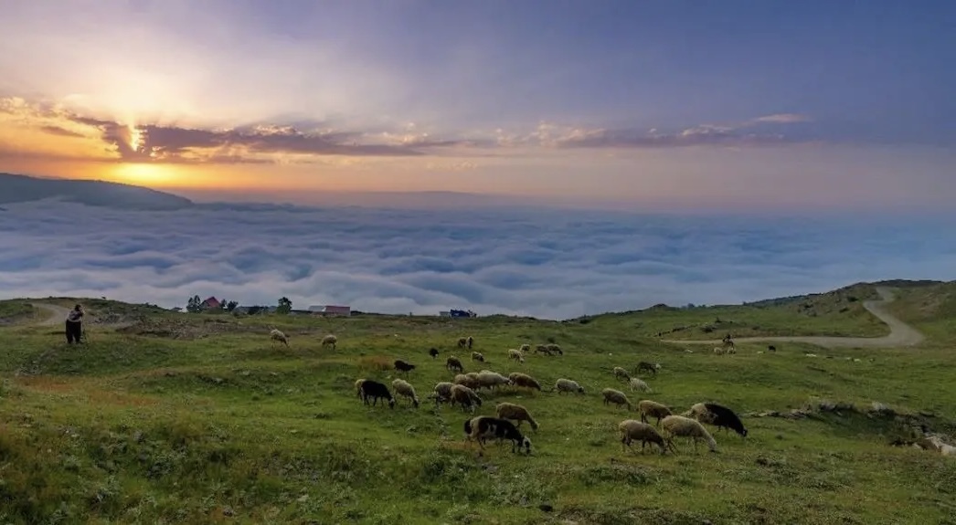تور ییلاق مازیچال کلاردشت