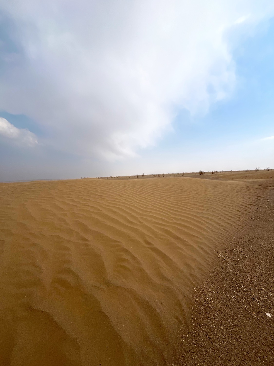 تور 2/5 روزه کویر مصر