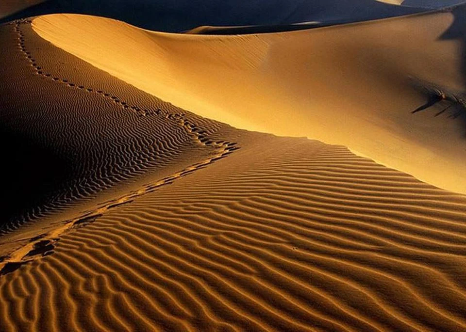 تور 2.5 روزه کویر مصر (اقامتگاه افضل)