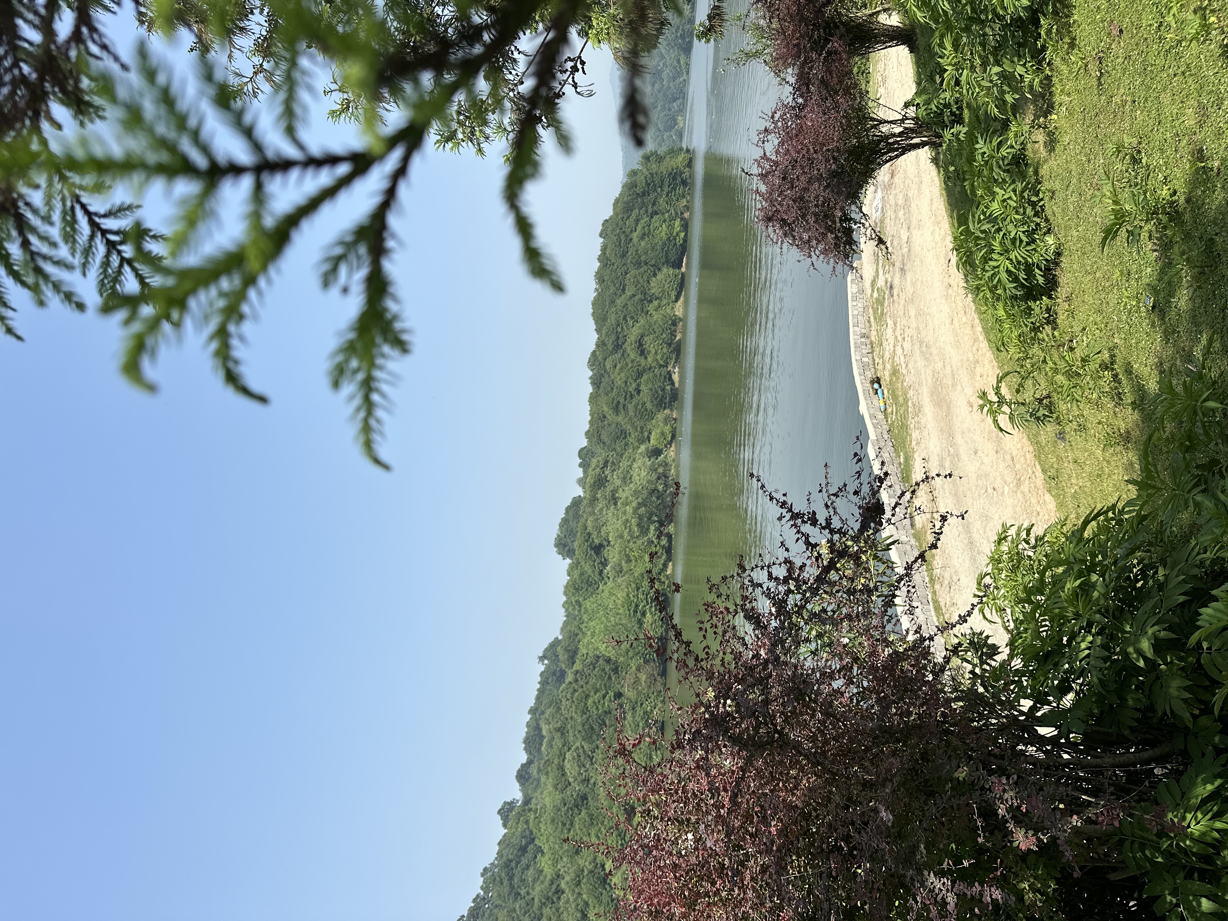 تور برنجستانک