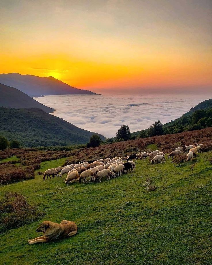 تور یک روزه فیلبند