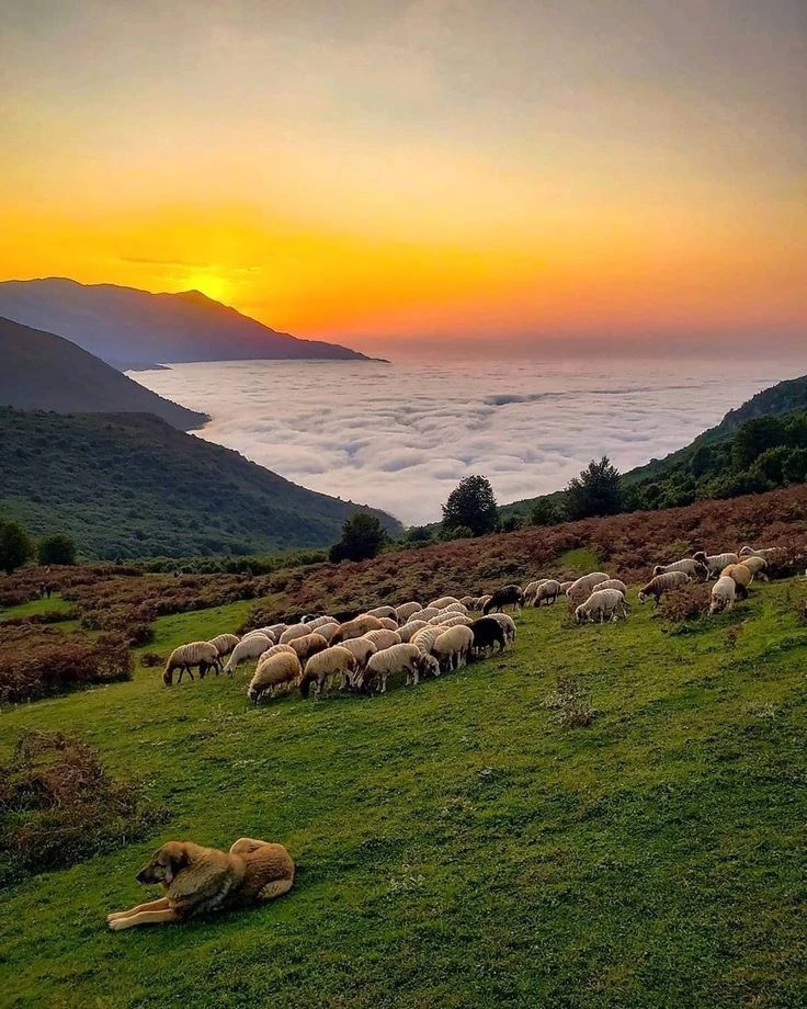 تور یک روزه فیلبند
