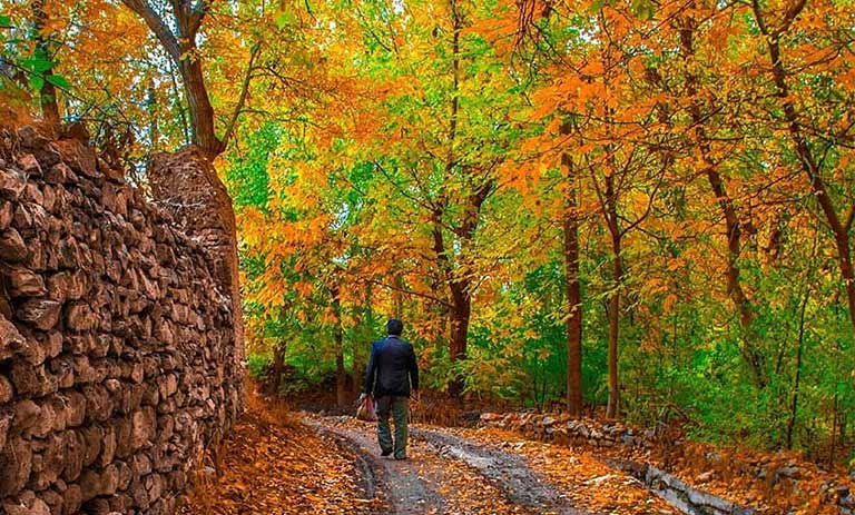 تور خوانسار، وانشان، گلپایگان
