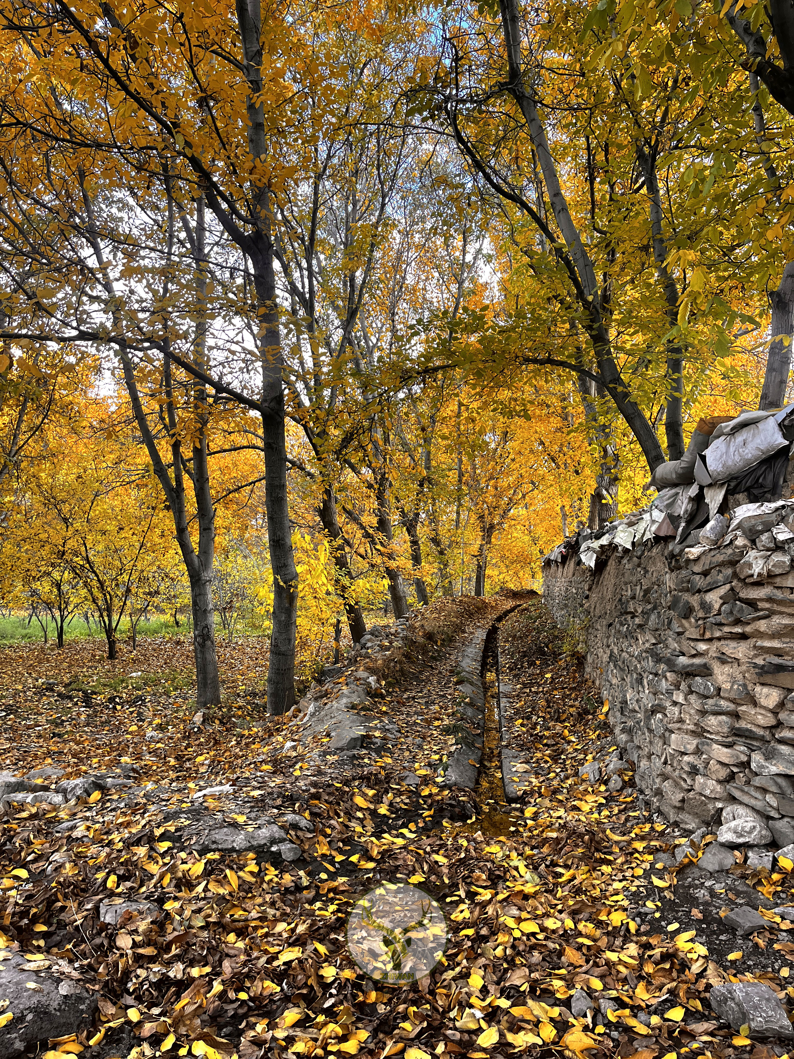 تور خوانسارگردی