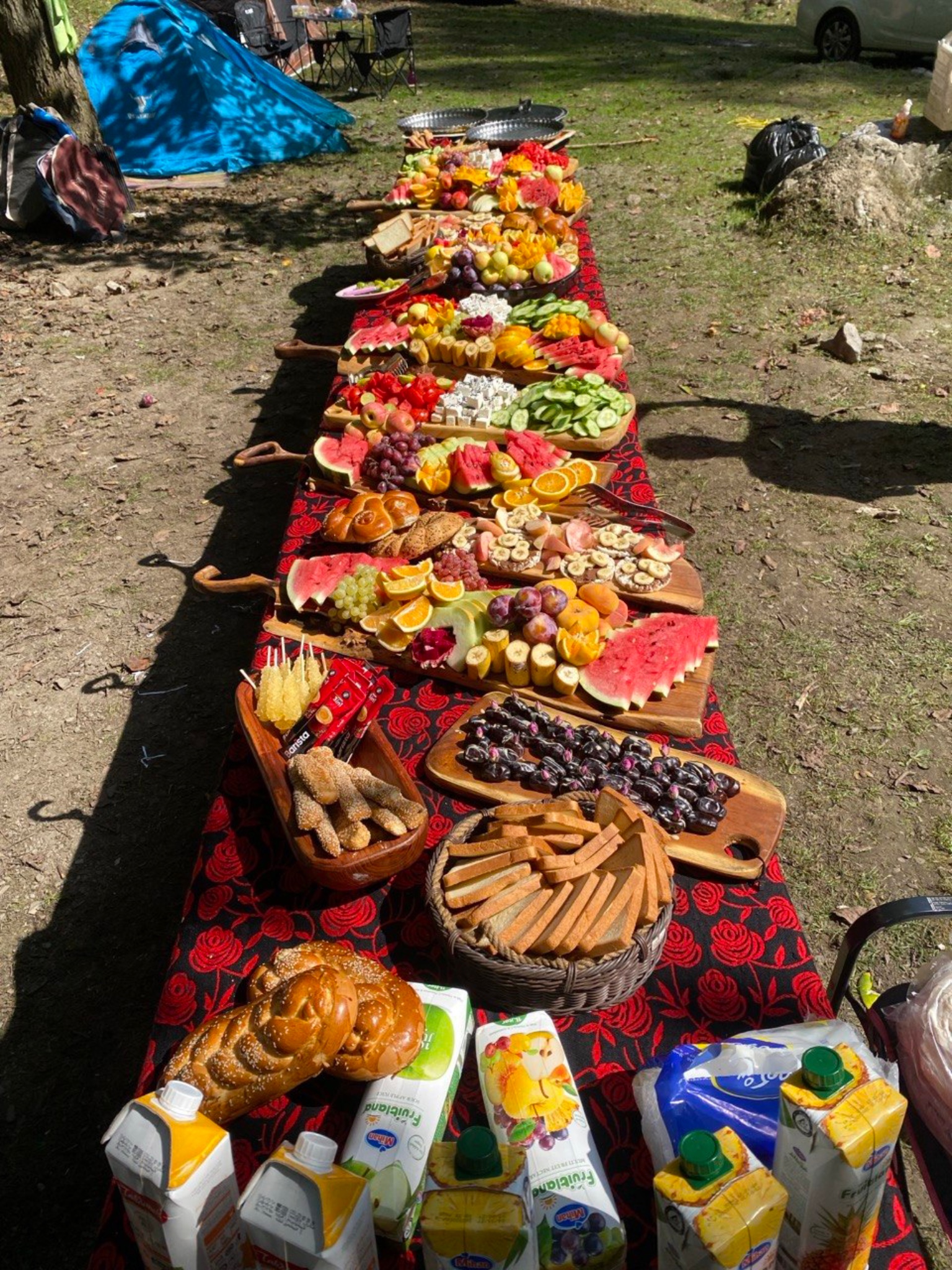 تور کمپ جنگلی چمستان