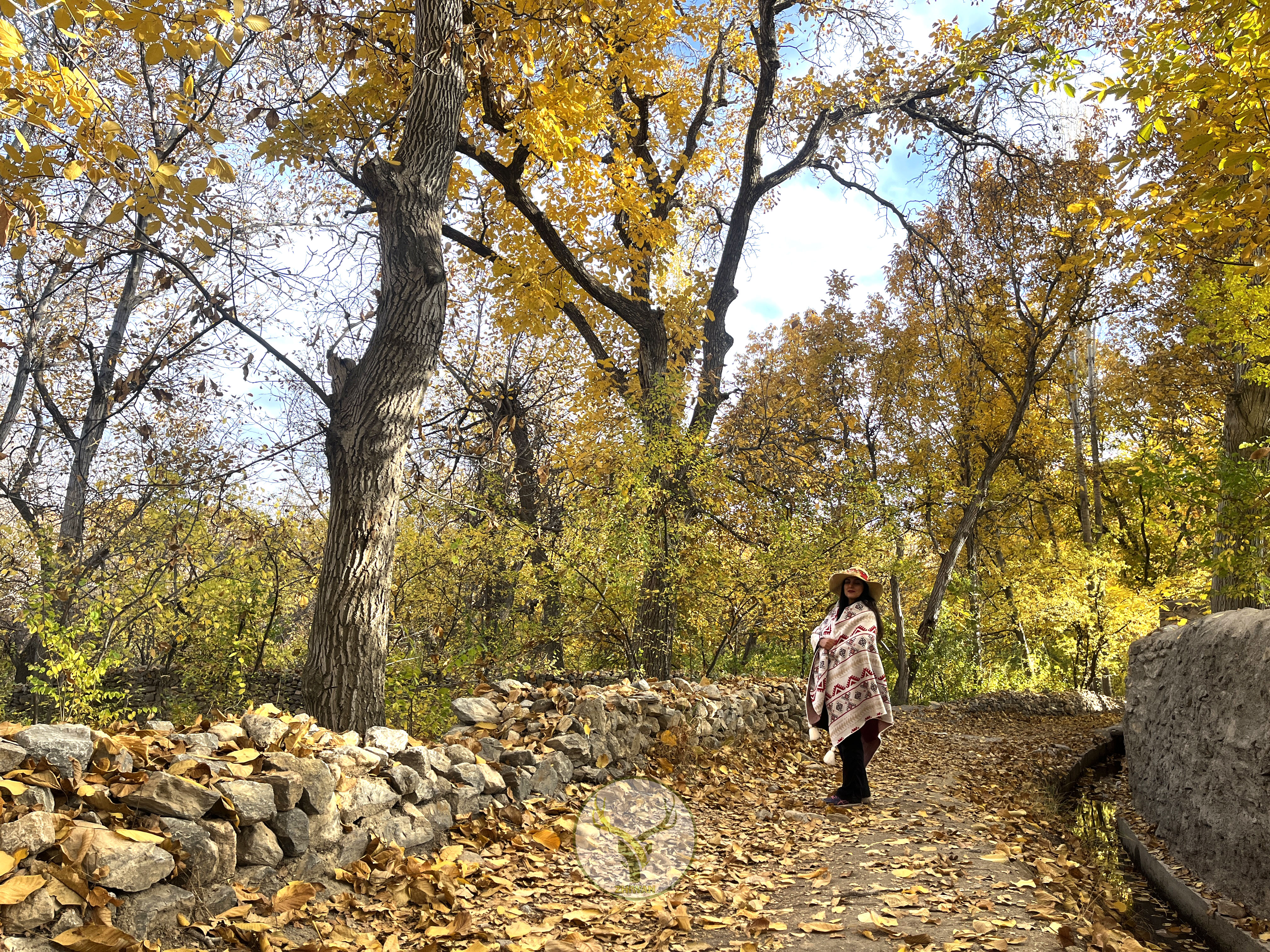 تور خوانسارگردی