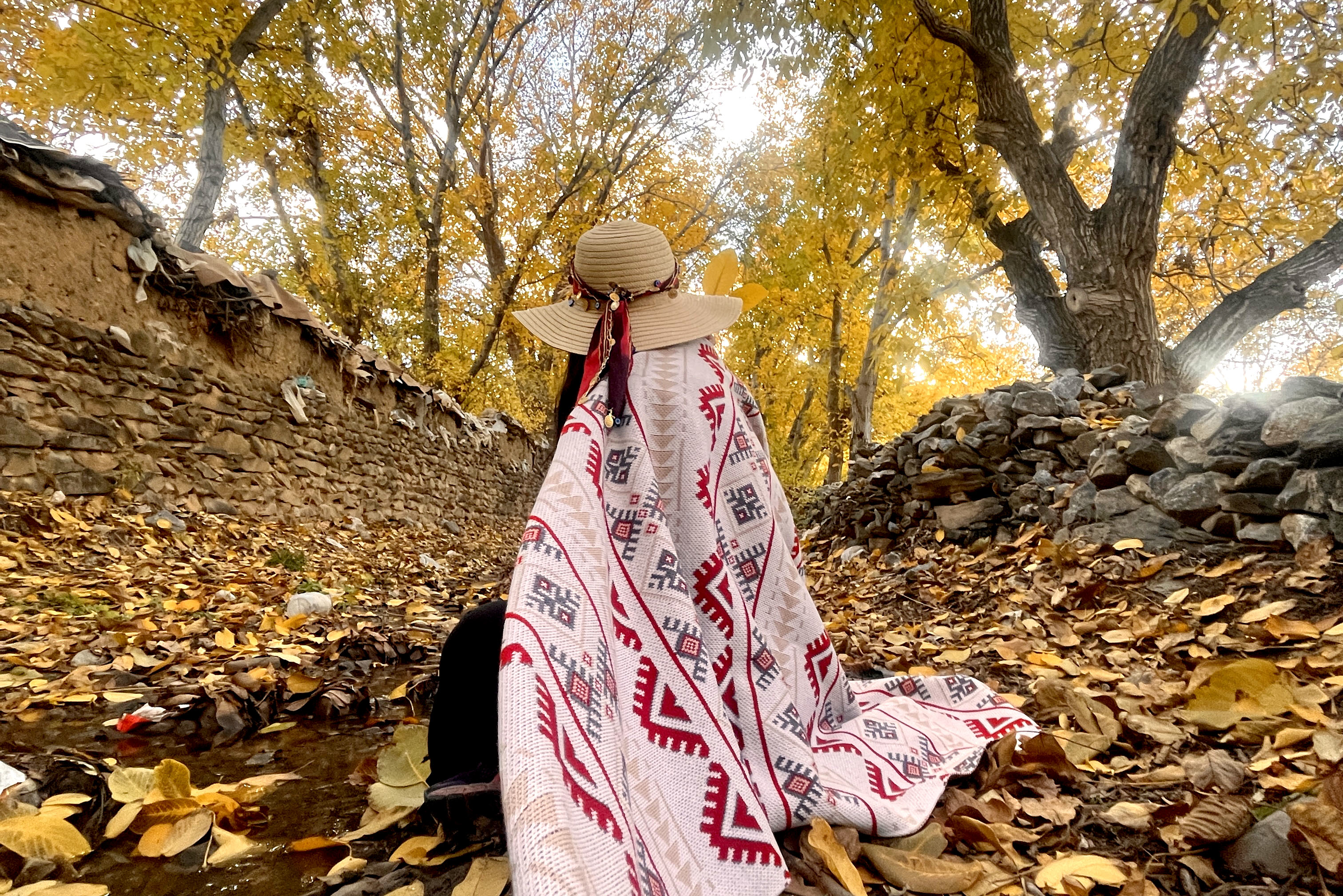 تور خوانسارگردی
