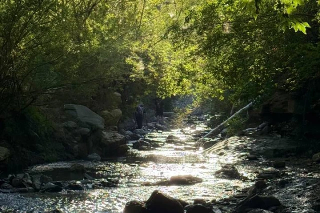 تور سیباندره