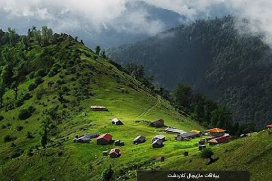 تور یک روزه جنگل مازیچال