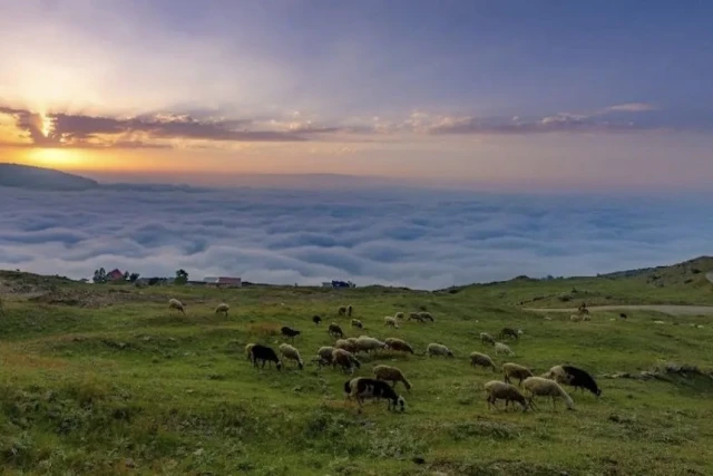 تور ییلاق مازیچال کلاردشت