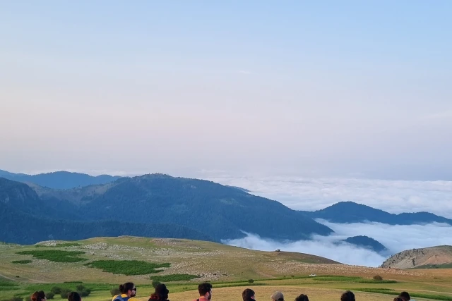 تور سافاری سوباتان