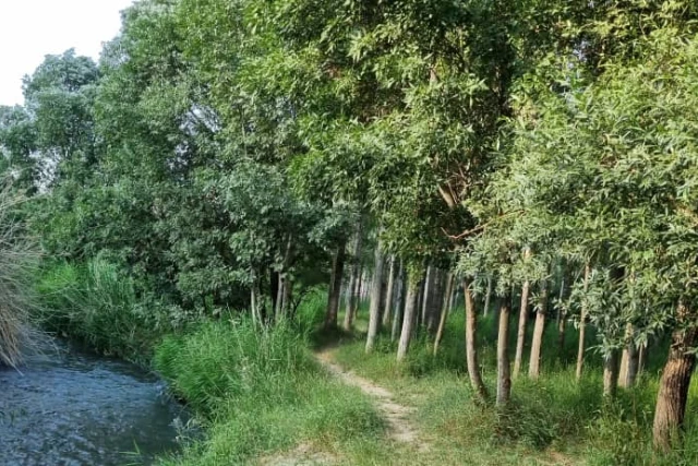 تور 2 روزه کمپ تجربه گرا فیروزکوه
