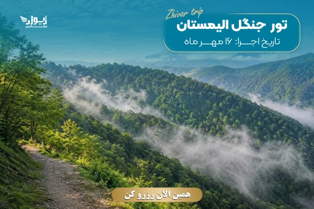 تور جنگل الیمستان