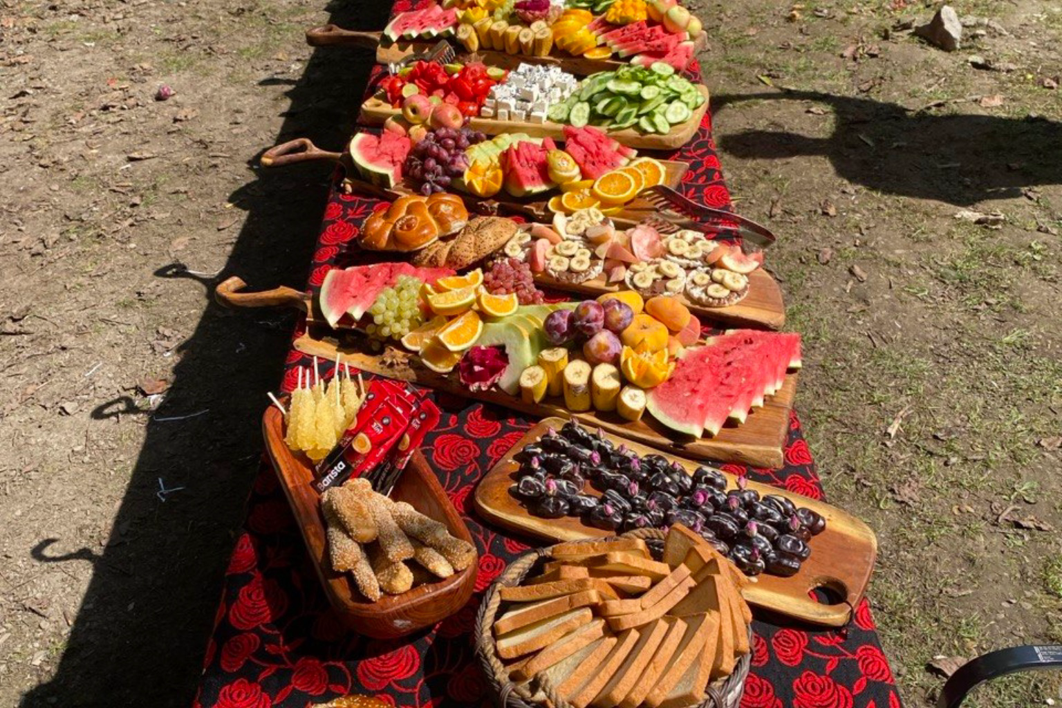 تور کمپ جنگلی چمستان