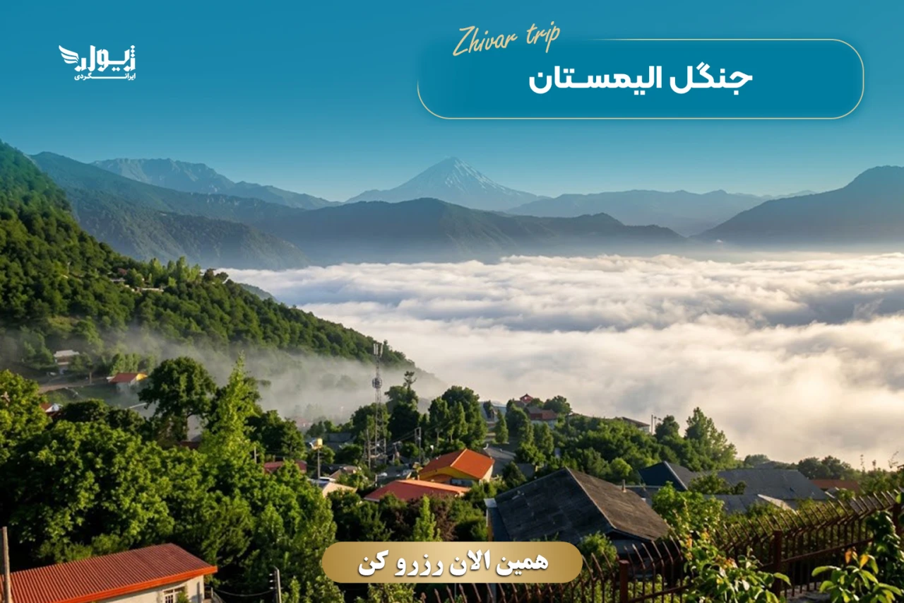 تور جنگل الیمستان