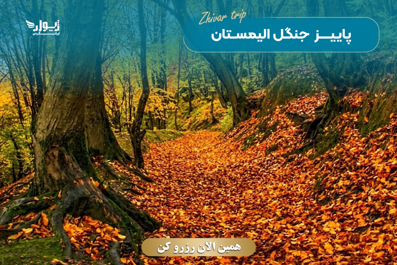 تور جنگل الیمستان