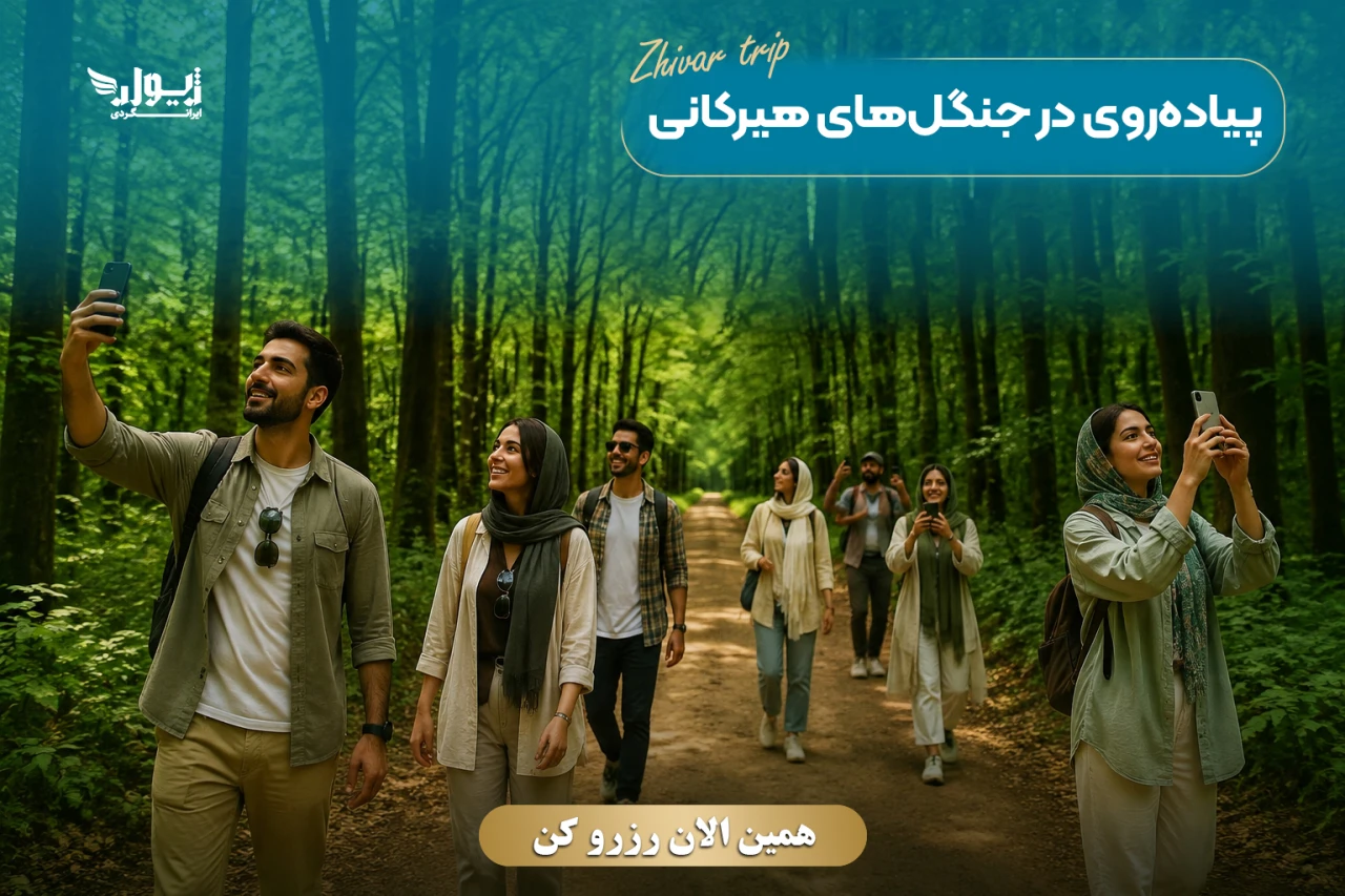 تور جنگل الیمستان