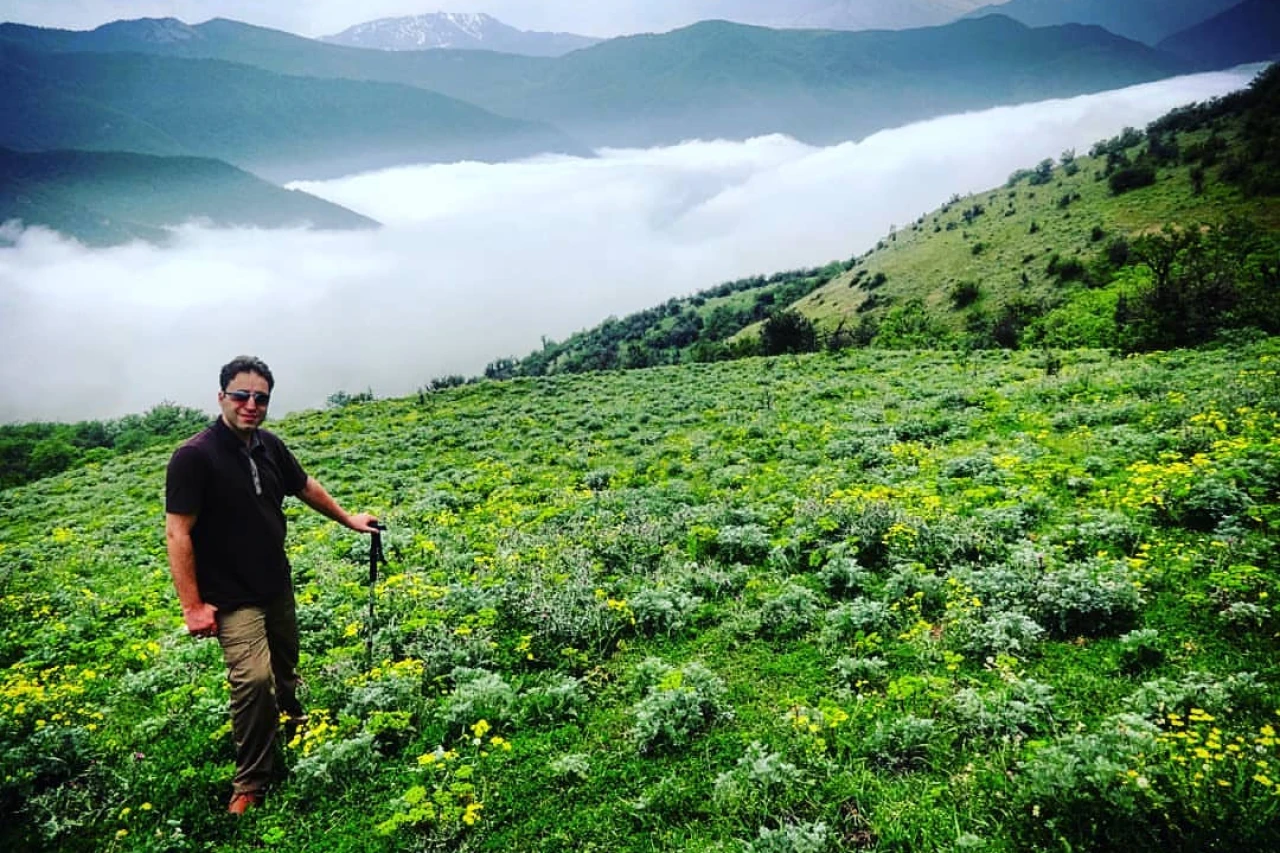 تور جنگل الیمستان