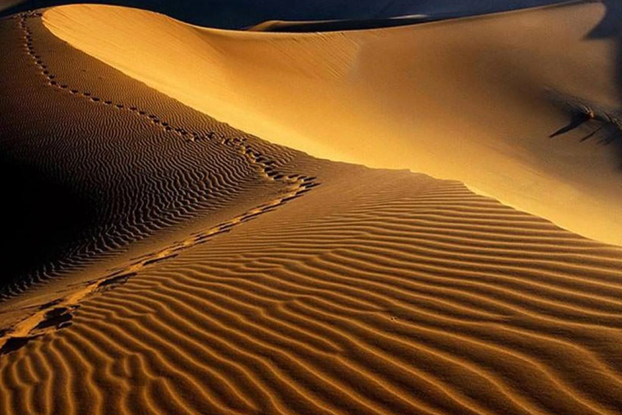 تور 2.5 روزه کویر مصر (اقامتگاه افضل)