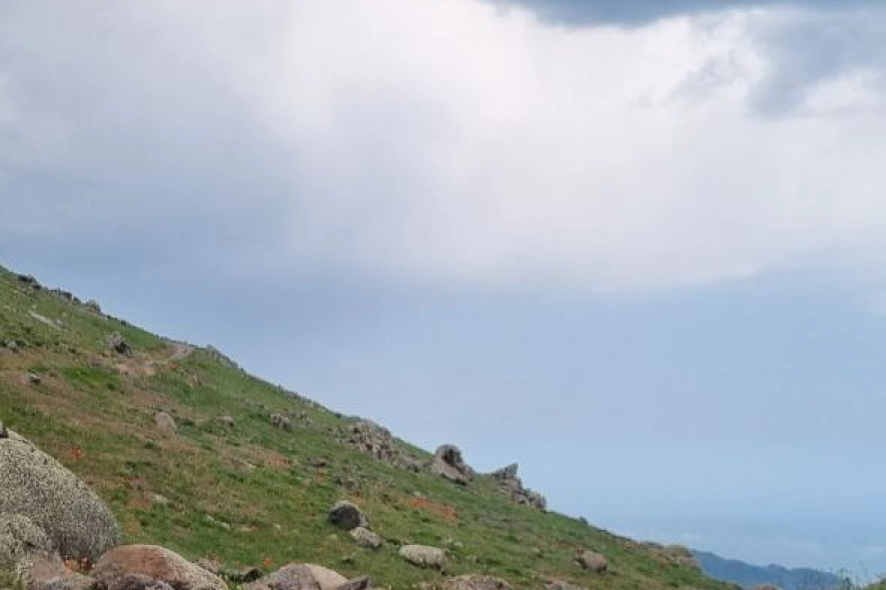 تور سافاری سوباتان