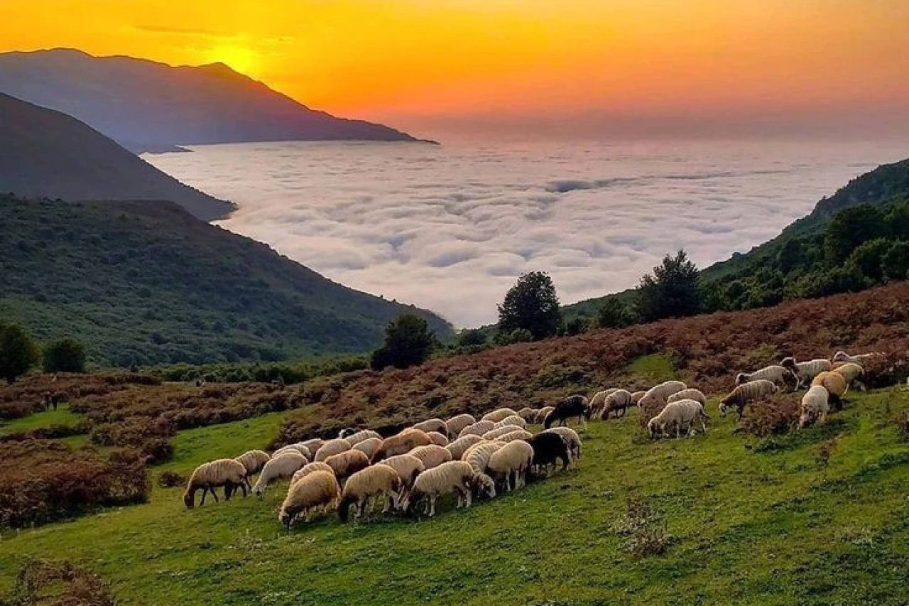 تور یک روزه فیلبند
