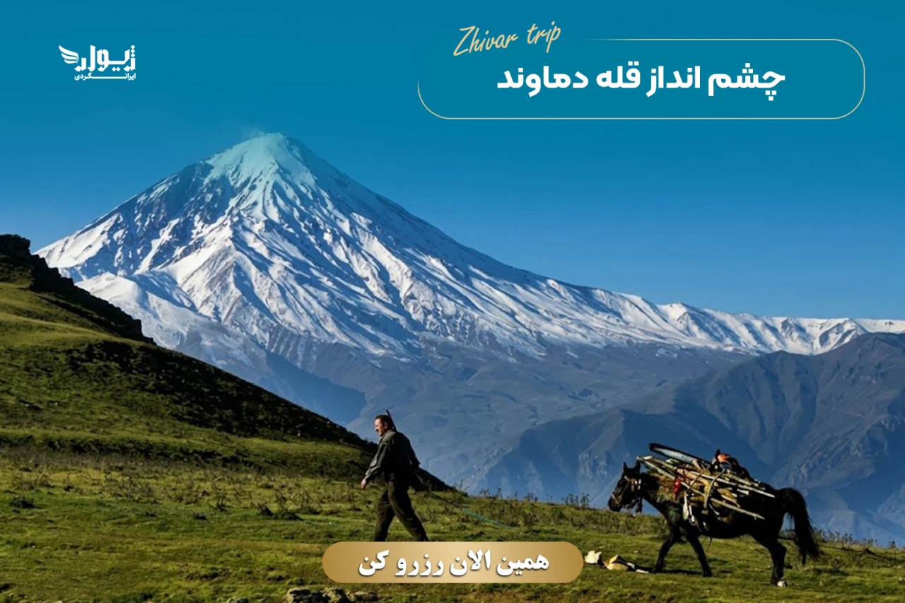 تور جنگل الیمستان