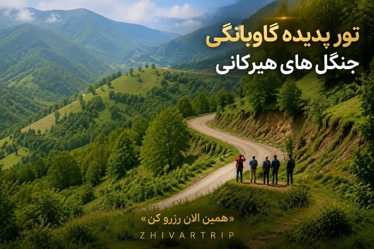 تور پدیده حفاظتی گاوبانگی