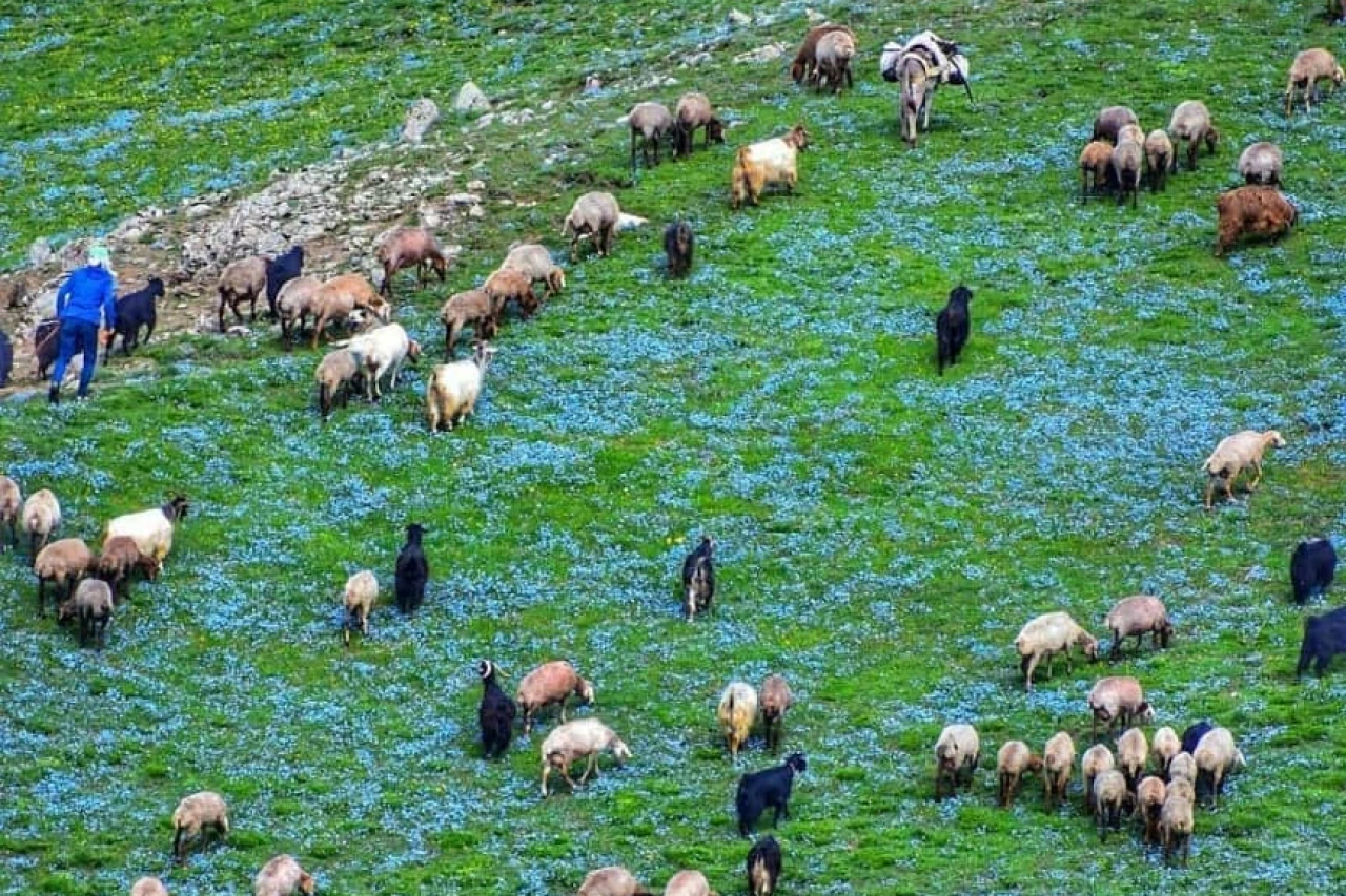 تور 3/5 روزه جاده پونل به خلخال و تمشلانه (بکر گردی)