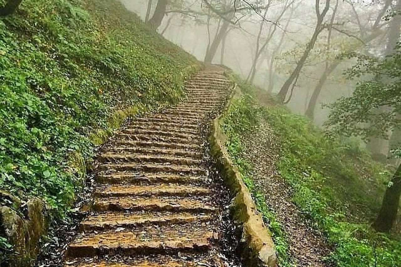 تور 3/5 روزه گیلان گردی