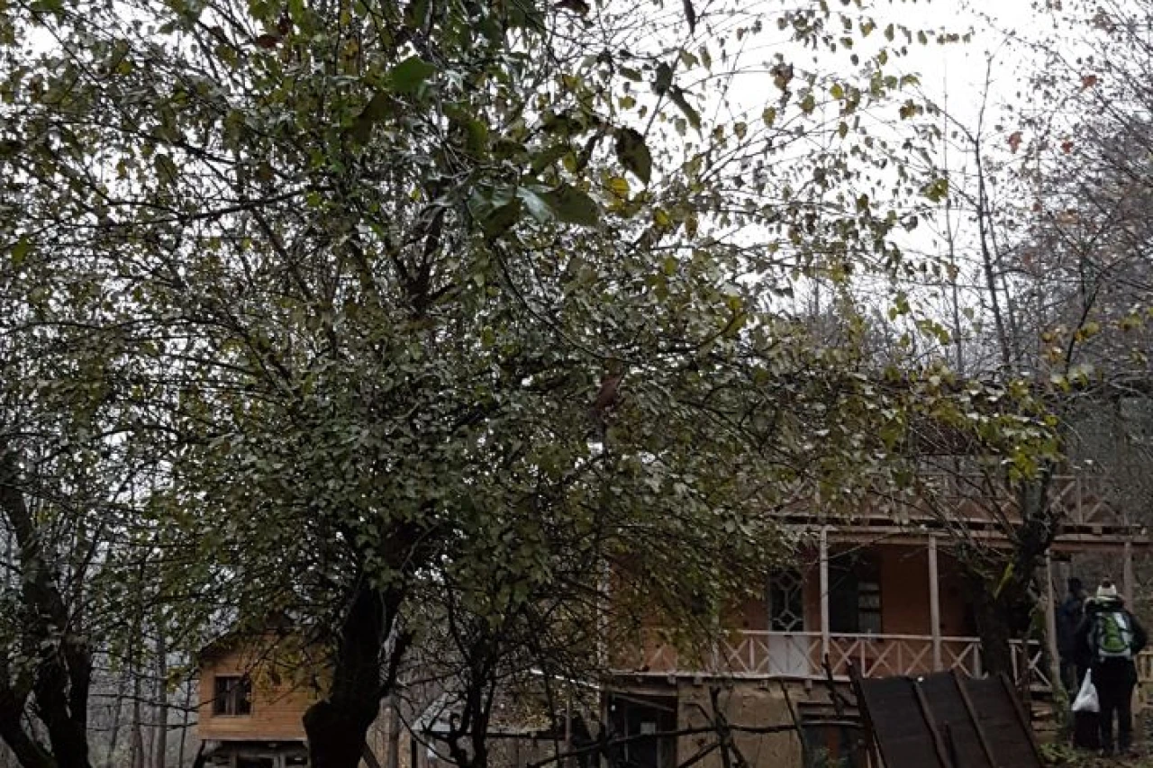 تور آبشار ترز و کلبه کاظم لفور