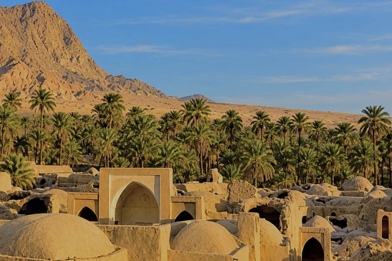 تور طبس