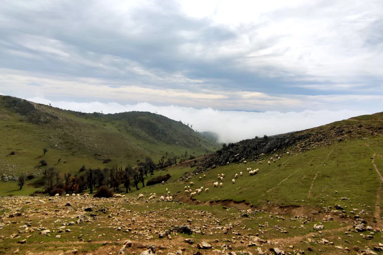 تور دامنه های درفک و دهکده هایدی