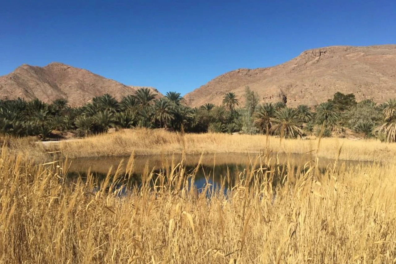 تور کویر مصر فولبرد (VIP)