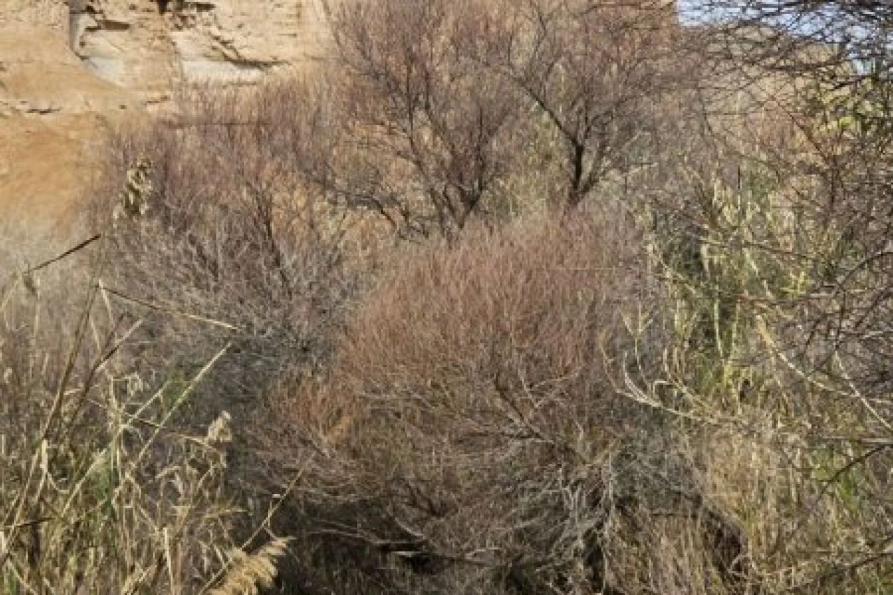 تور چالکندی و تنگه توبیرون (فرار از گرما و آب تنی)