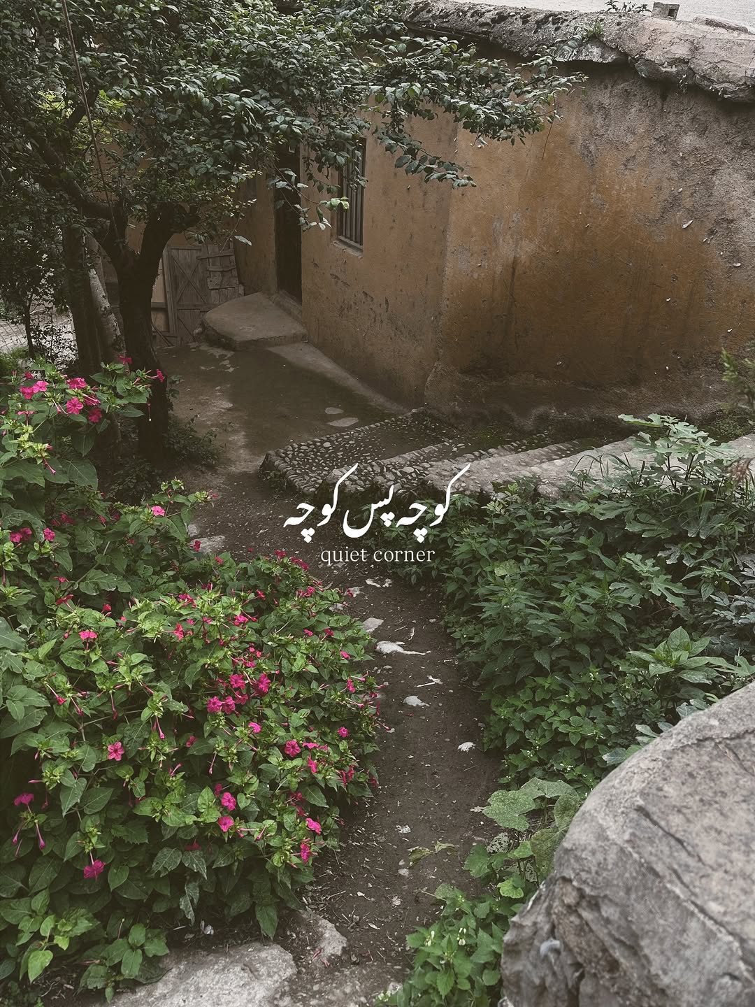 تور یکروزه ماسوله فولبرد